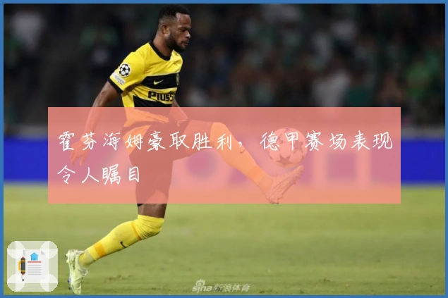 霍芬海姆豪取胜利,德甲赛场表现令人瞩目